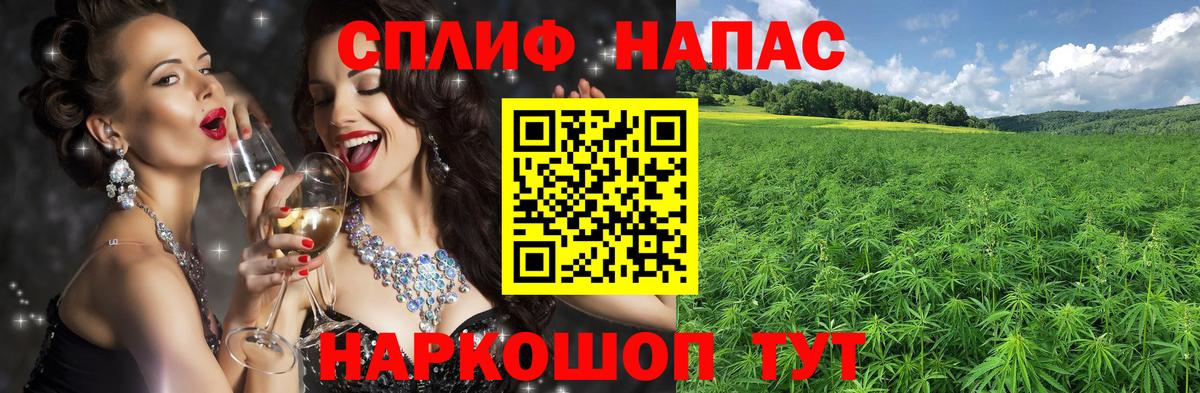 Конопля SATIVA & INDICA Шахты